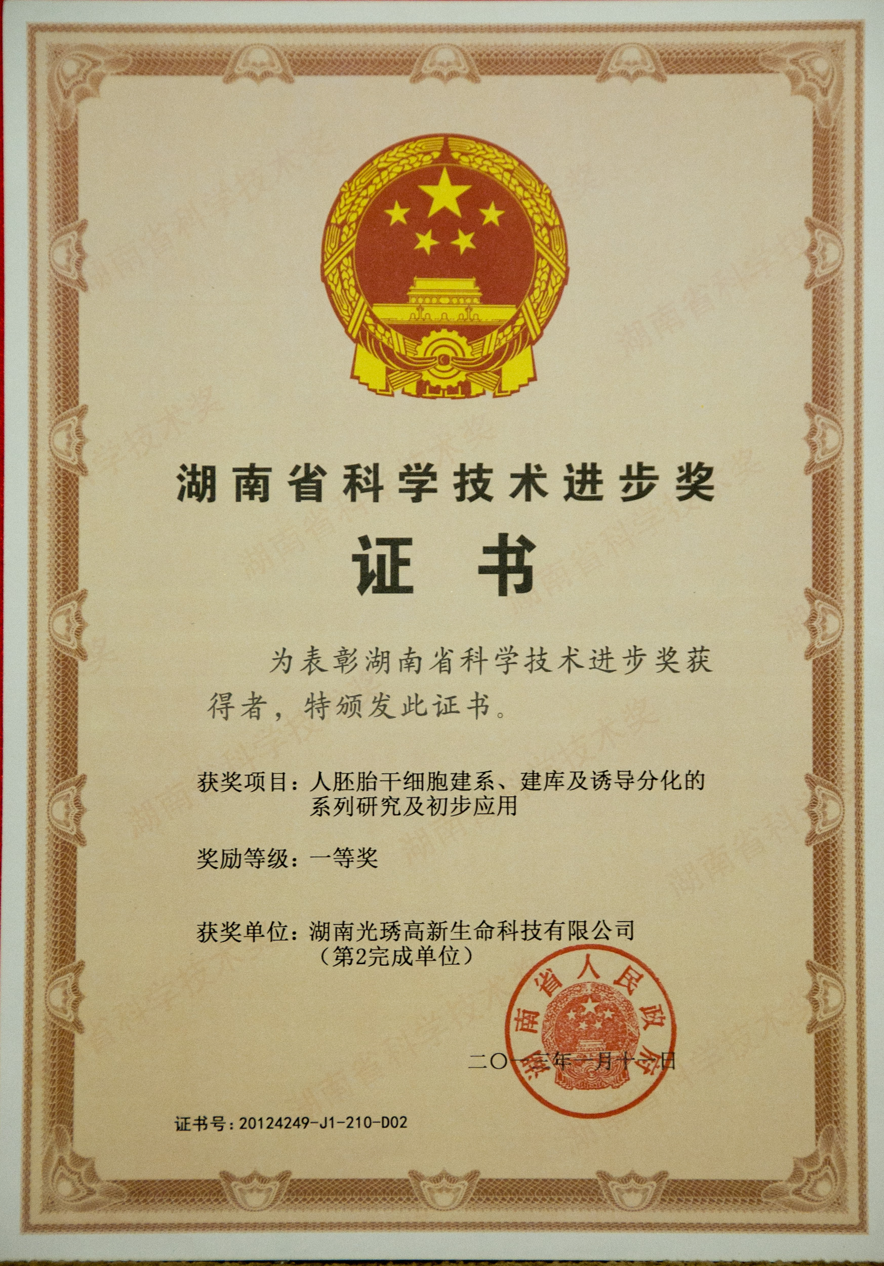 湖南省科學技術(shù)進步獎一等獎
