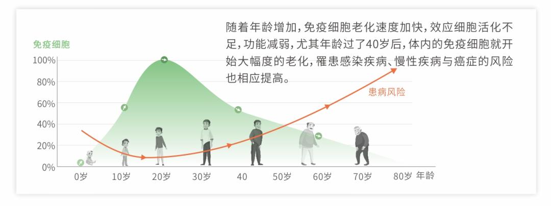 免疫細胞1.jpg