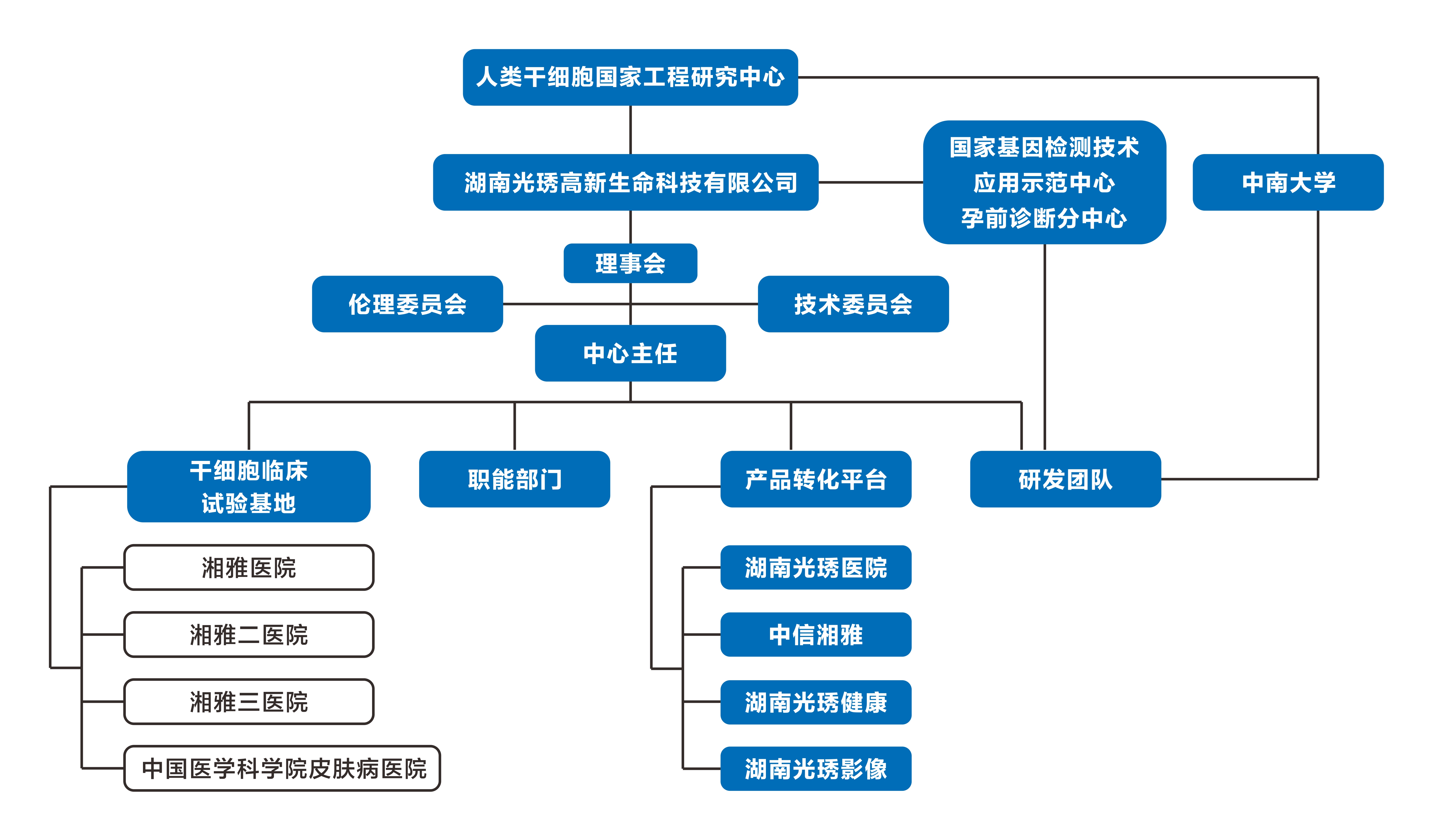 中心構(gòu)架.jpg